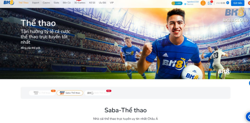 Chuyên mục cá cược bóng đá tại nhà cái BK8