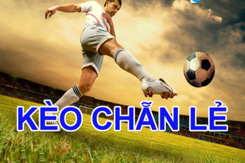 Kinh nghiệm soi kèo chẵn lẻ chuẩn xác