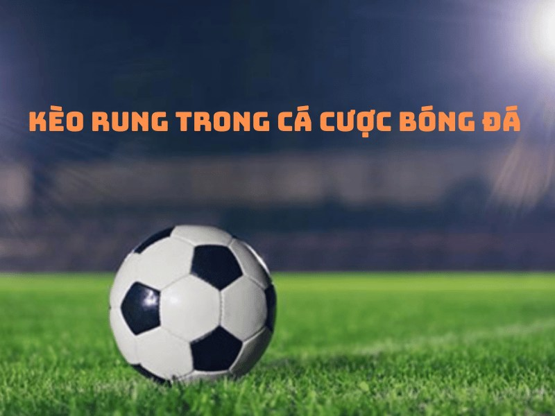 Những kinh nghiệm chơi kèo rung hiệu quả